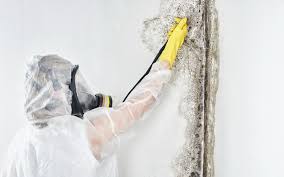 Midfield, AL Mold Remediation Company